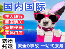 高崎机场托运国际宠物托运 【国